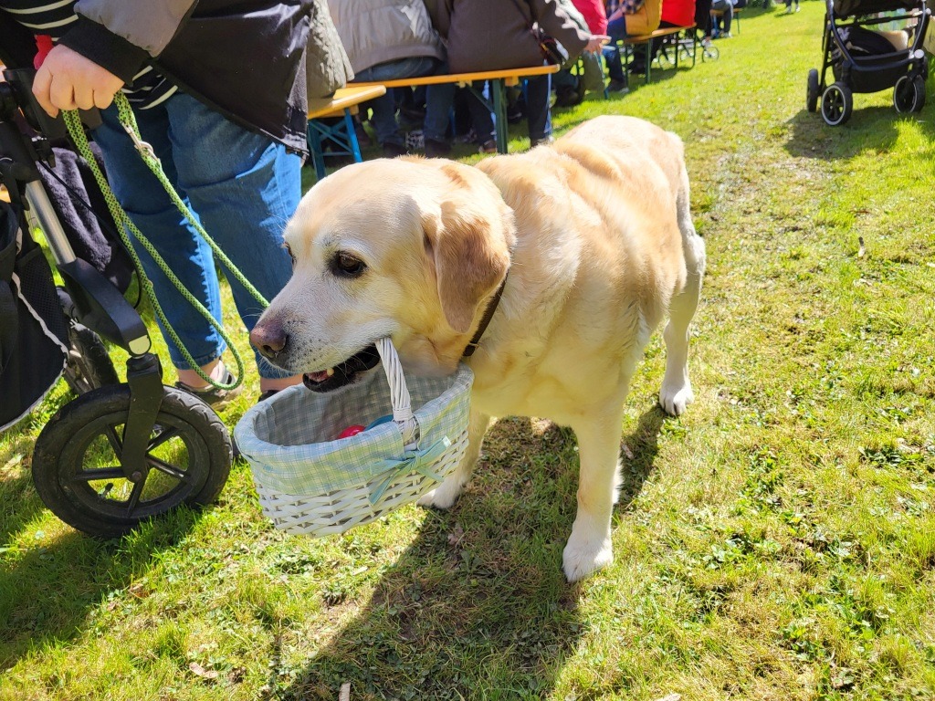 Ich hab auch was gefunden!